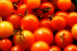 الأسمدة معجزة مفيدة للطماطم من نبات القراص