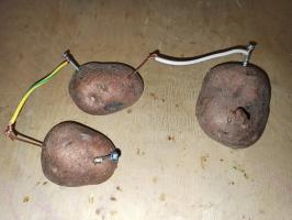 الكهرباء من البطاطس - إجراء تجربة بسيطة
