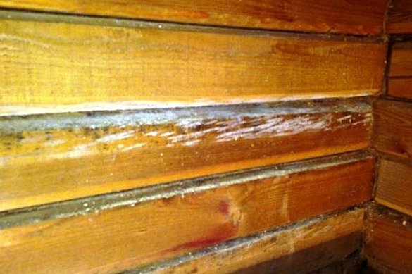 الخلاصة: يجب أن يكون البيت الخشب الدافئ بخار العزل قابلة للاختراق، مثل الصوف المعدني.