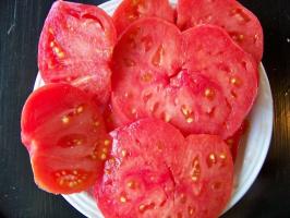 8 الأصناف غير عادية ولذيذة من الطماطم (البندورة)