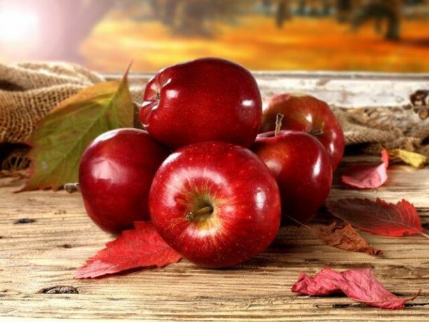 ما هي فوائد التفاح ، وهل يمكن أن تضر الجسم