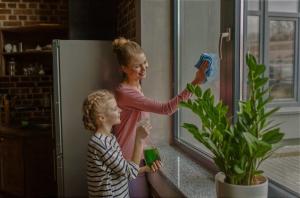 كيفية نوافذ نظيفة، لتحقيق المزيد من الفوائد، وليس الضرر. 5 خطوات سهلة