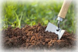 كيفية التحقق من حموضة التربة