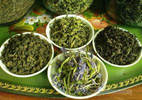جميع مراحل إعداد الشاي Koporsky: جمع والذبول، التخمير، والتجفيف، المزج، وتختمر.