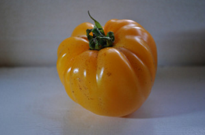 5 أصناف من الطماطم (البندورة) سلسلة "Vkusnoteka"