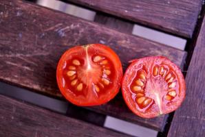 كيفية اختيار بذور الطماطم بحكمة
