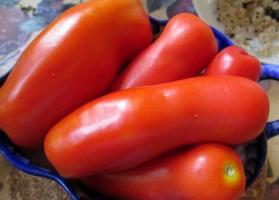 الطماطم Zhigalo - متنوعة بسيط وغير عادية، وافرة بشكل لا يصدق!