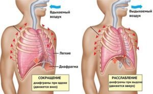 التنفس البطني: فوائد ومضار، والأجهزة والتعليقات