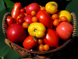 8 الأصناف العليا من الطماطم (البندورة)، والتي كثيرا ما أسأل المشترين في البستنة متجر