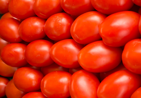 كيفية زراعة الطماطم (البندورة). براعم ودية دائما