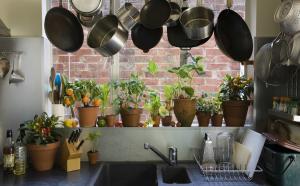كيف الأصلي وعملية لإضافة النباتات الداخلية والأعشاب في المناطق الداخلية من المطبخ الخاص بك. 7 نصائح التصميم